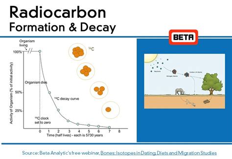 radiocarbon dating how stuff works